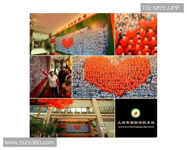 重庆乒乓球队防守革新之路探索与实践的深度剖析