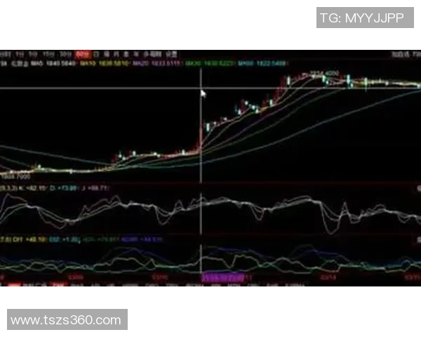 广州网球队防守策略解析与战术应用探讨