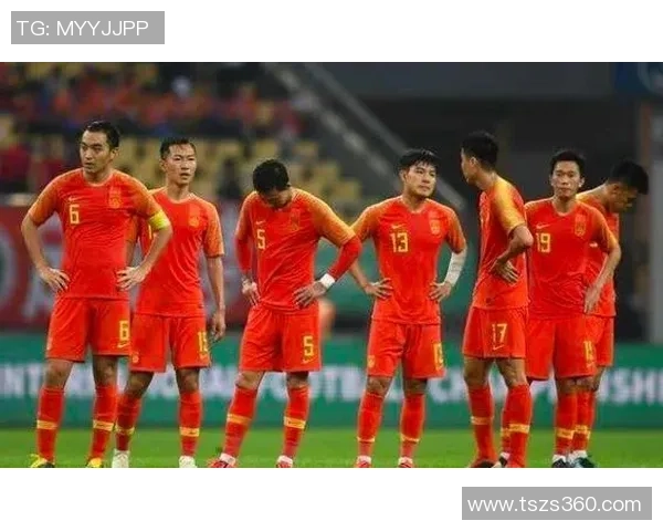 深圳排球队与南京排球队耐力较量赛后深度分析与反思