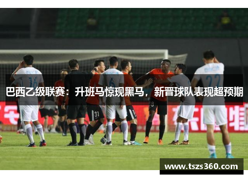 巴西乙级联赛：升班马惊现黑马，新晋球队表现超预期